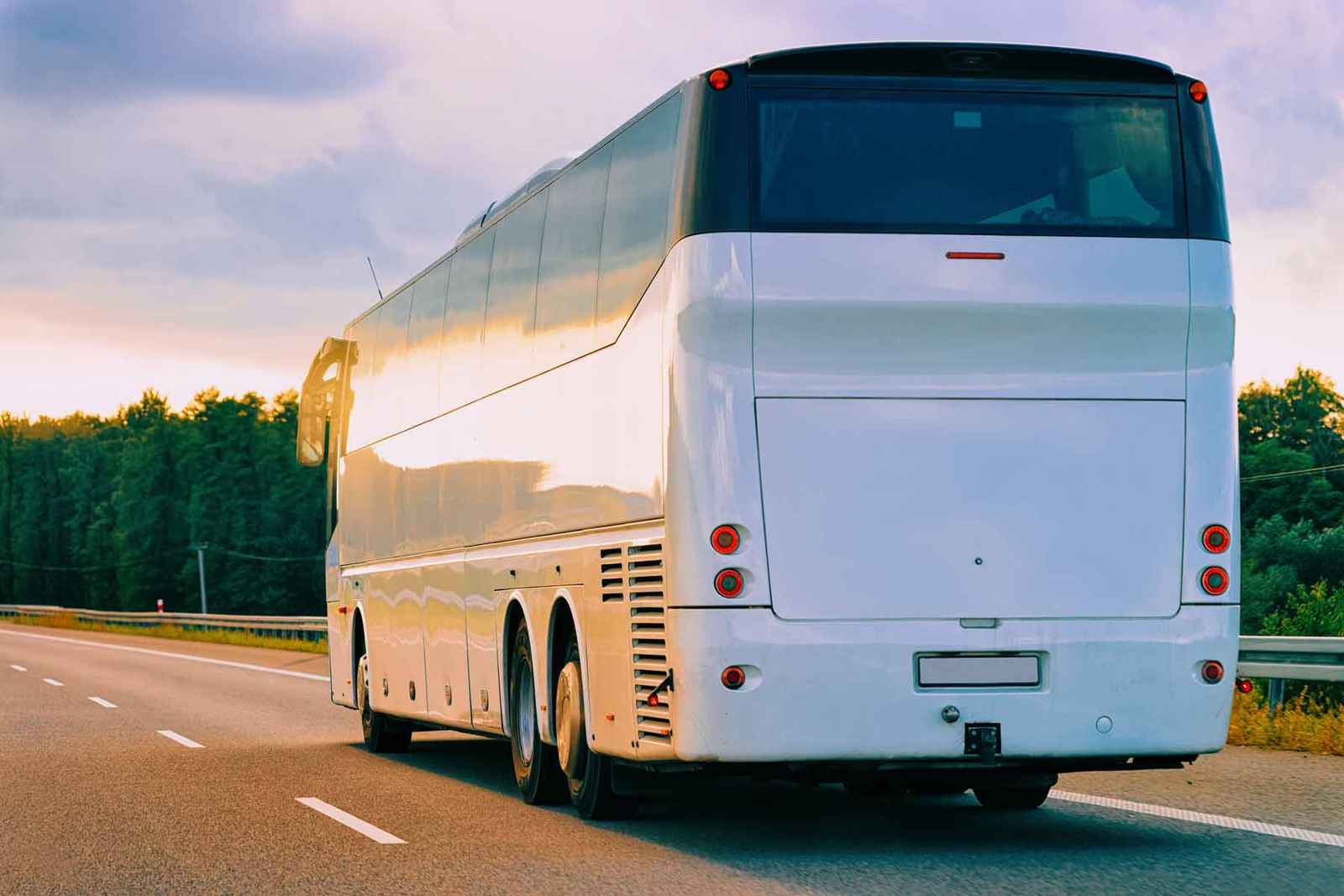 Yellow Van Rides charter bus parked and ready for group travel