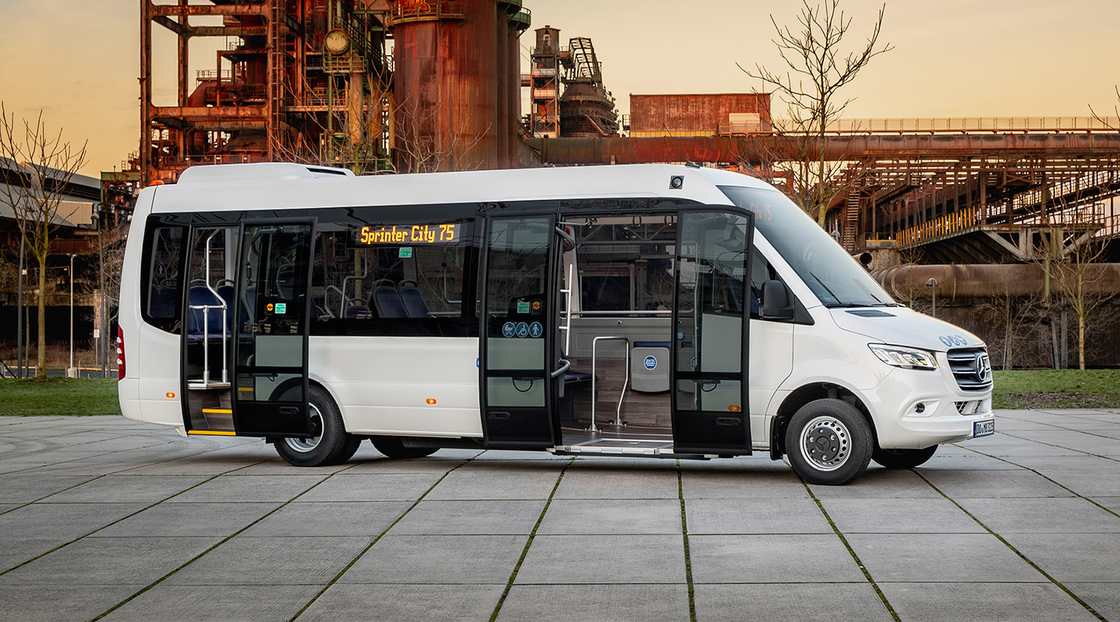 Mini Buses & Sprinters